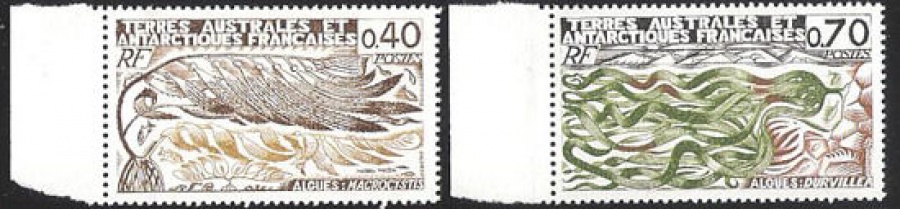 Почтовая марка Французские территории в Антарктике. Михель № 115-116