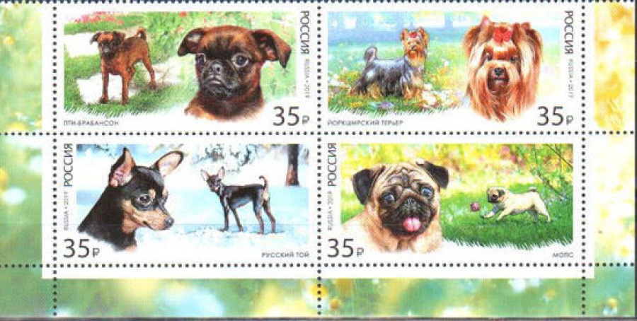 Почтовая марка Россия 2019 № 2448-2451 «Декоративные собаки»