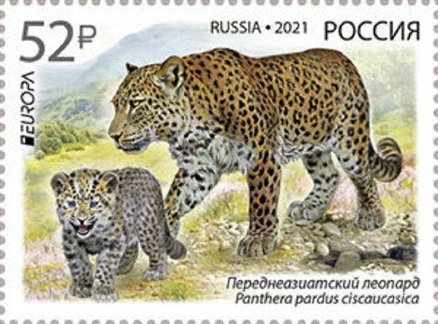 Почтовая марка Россия 2021 № 2722. «Национальная дикая природа. Исчезающие виды животных. Переднеазиатский леопард»