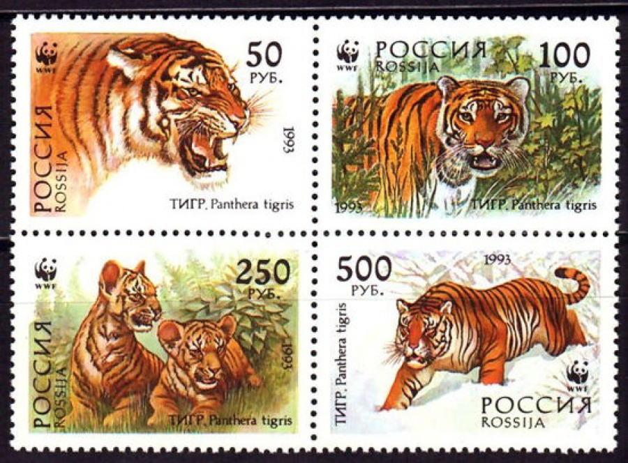 Почтовая марка Россия 1993 № 124-127. Уссурийский тигр. (Сцепка)