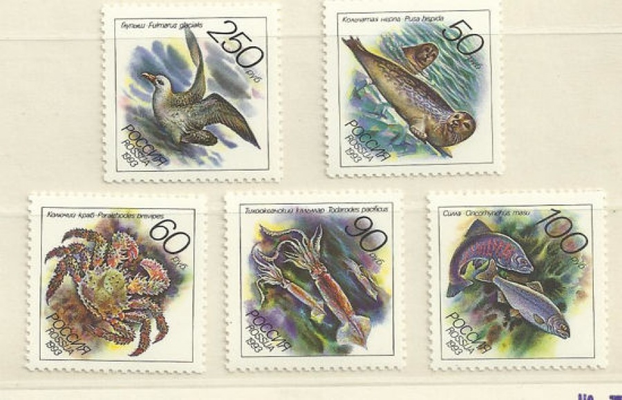 Почтовая марка Россия 1993 № 104-108. Животные морей Тихоокеанского региона.