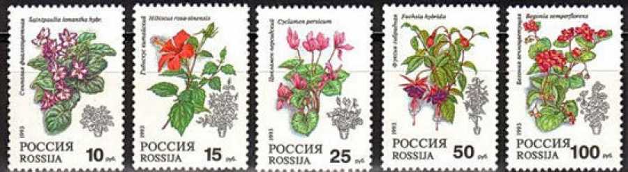 Почтовая марка Россия 1993 № 77-81. Комнатные растения