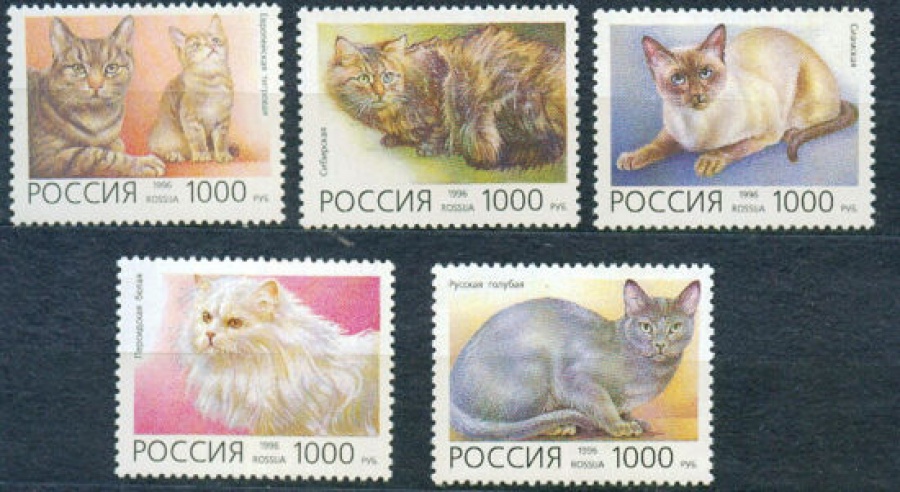 Почтовая марка Россия 1996 № 266-270. Домашние кошки