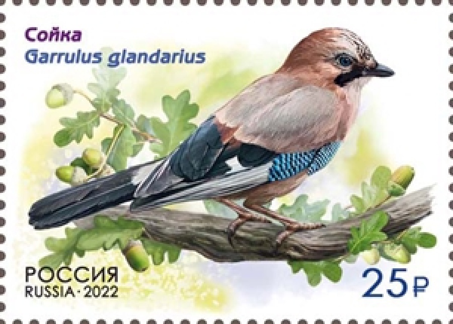 Почтовые марки России 2022 №2860-2863 "Фауна России Певчие птицы"