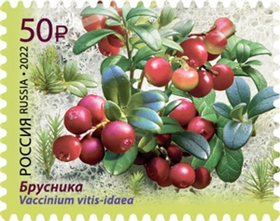 Почтовые марки России № 2884-87 "Флора России. Ягоды"