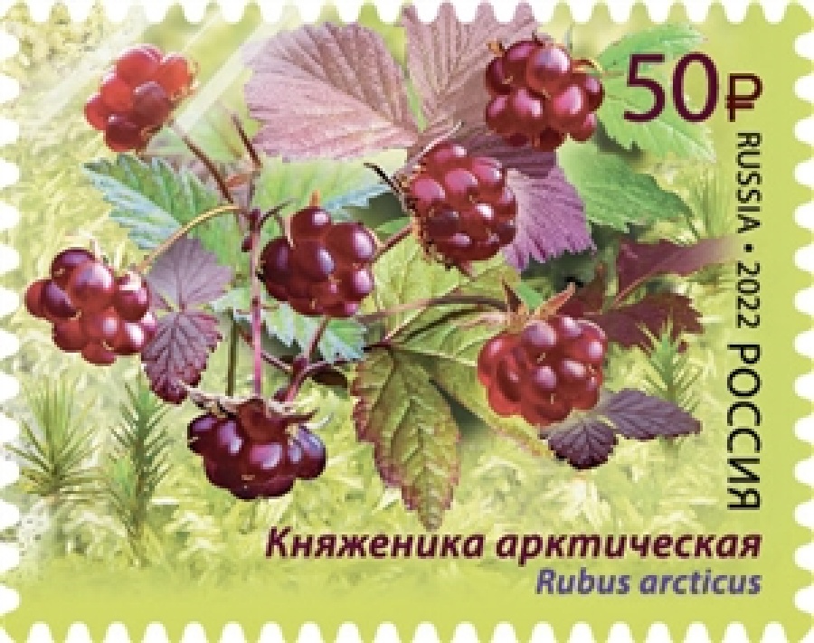 Почтовые марки России № 2884-87 "Флора России. Ягоды"