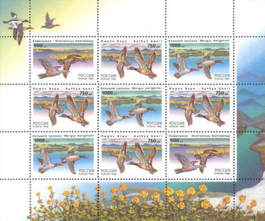 Малый лист почтовых марок - Россия 1995 № 242-244. Утки. Продолжение серии