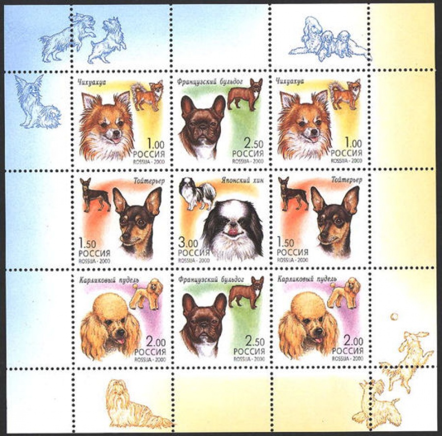 Малый лист почтовых марок - Россия 2000 № 605-609. Фауна. Декоративные собаки