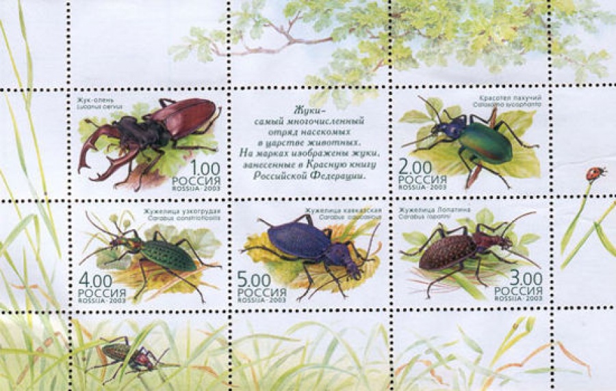 Малый лист почтовых марок - Россия 2003 № 868-872. Жуки