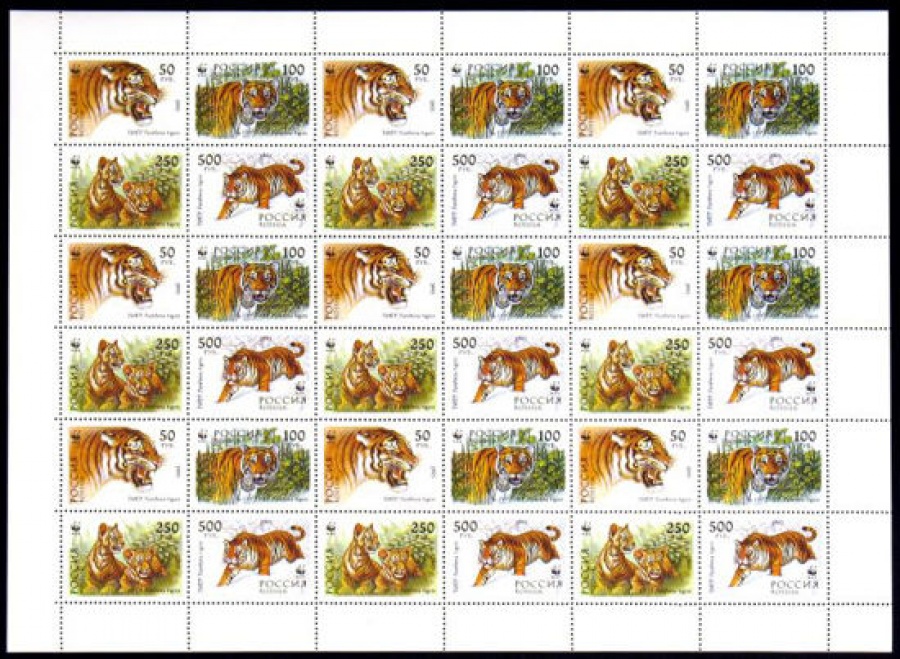 Лист почтовых марок - Россия 1993 № 124 - 127. Уссурийский тигр, сцепки.