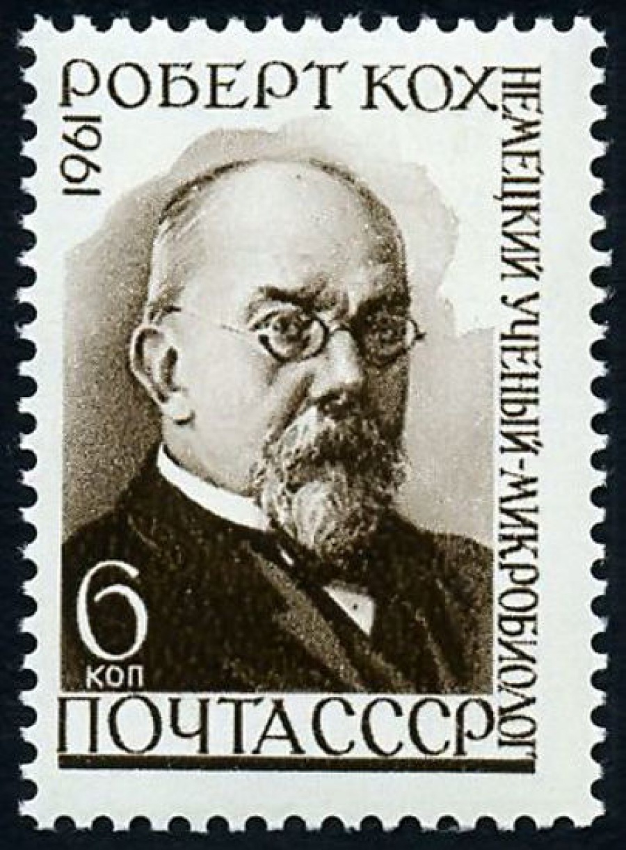 Почтовая марка СССР 1961г Загорский № 2463