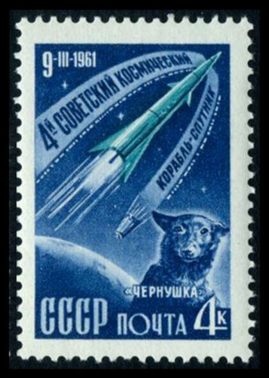 Почтовая марка СССР 1961г Загорский № 2495
