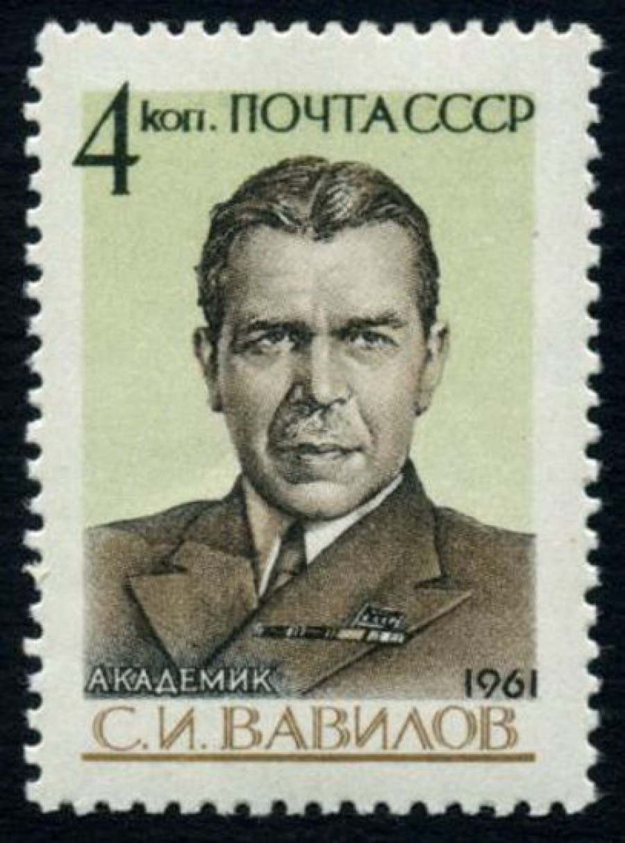 Почтовая марка СССР 1961г Загорский № 2505