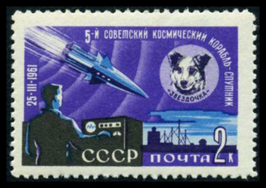 Почтовая марка СССР 1961г Загорский № 2496