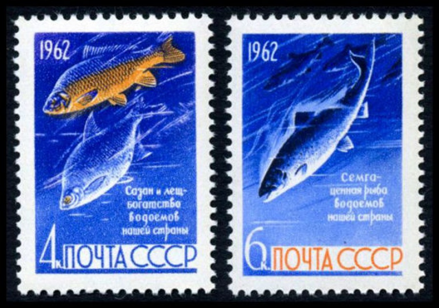 Почтовая марка СССР 1962г Загорский № 2645-2646