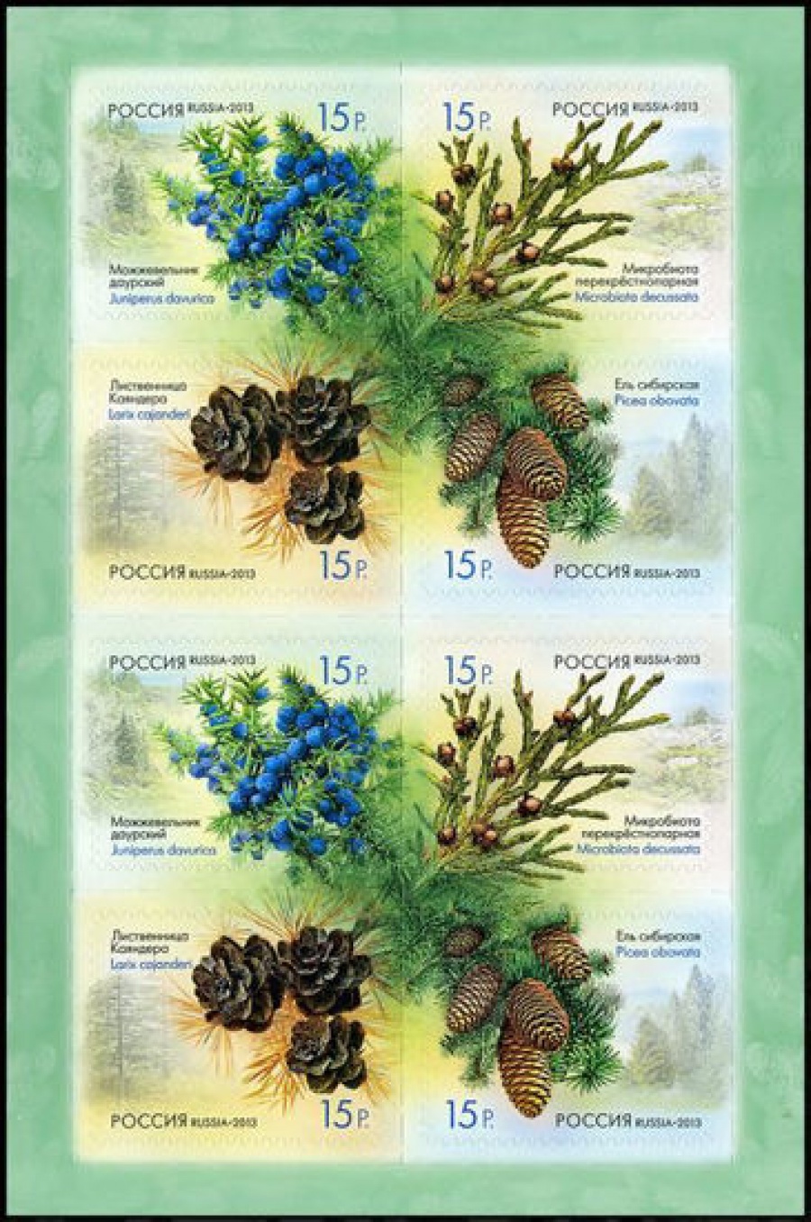 Лист почтовых марок - Россия 2013 № 1682-1685 Флора России. Шишки хвойных деревьев и кустарников