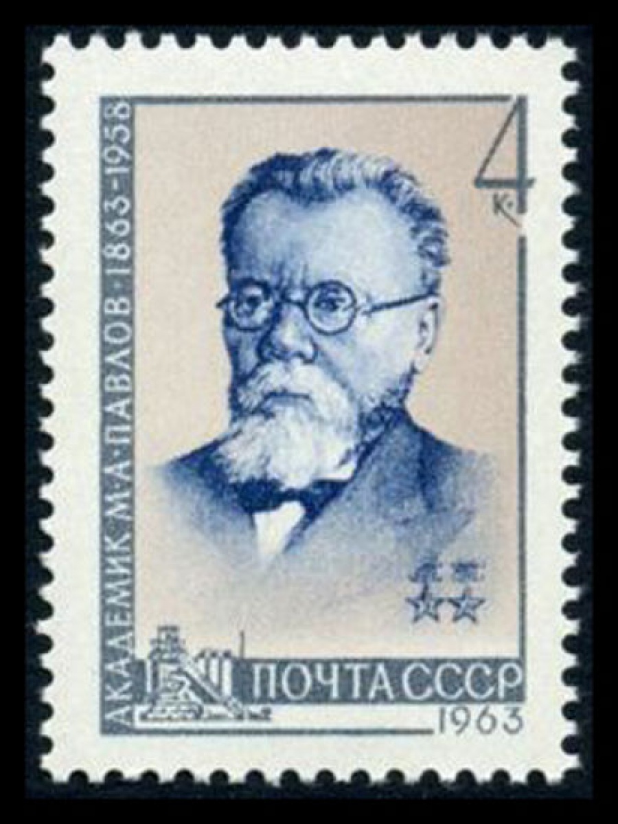 Почтовая марка СССР 1963г Загорский № 2736
