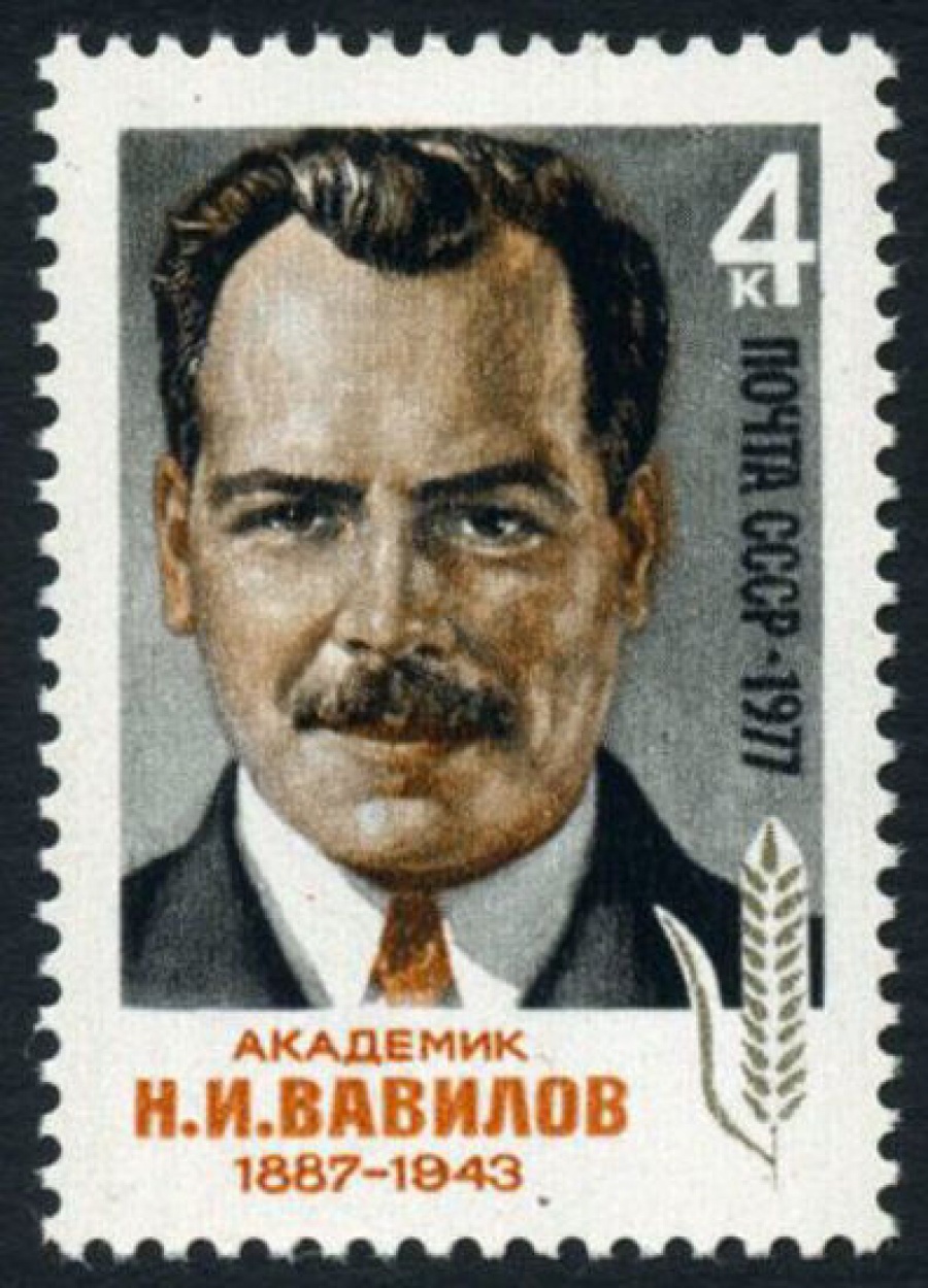 Почтовая марка СССР 1977г Загорский № 4640