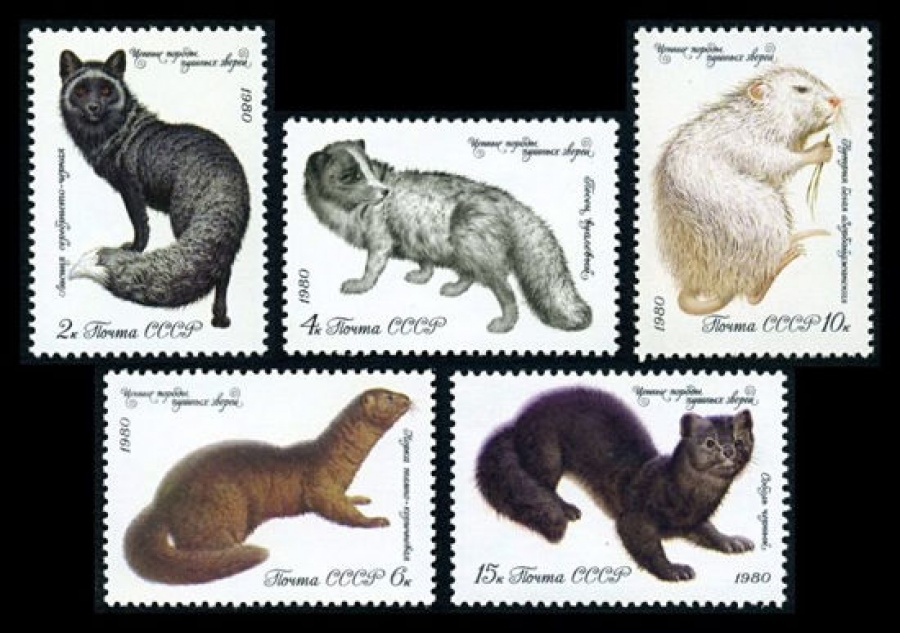 Почтовая марка СССР 1980г Загорский № 5018-5022