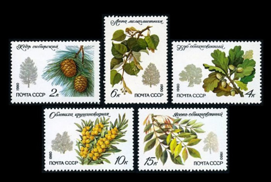 Почтовая марка СССР 1980г Загорский № 5052-5056