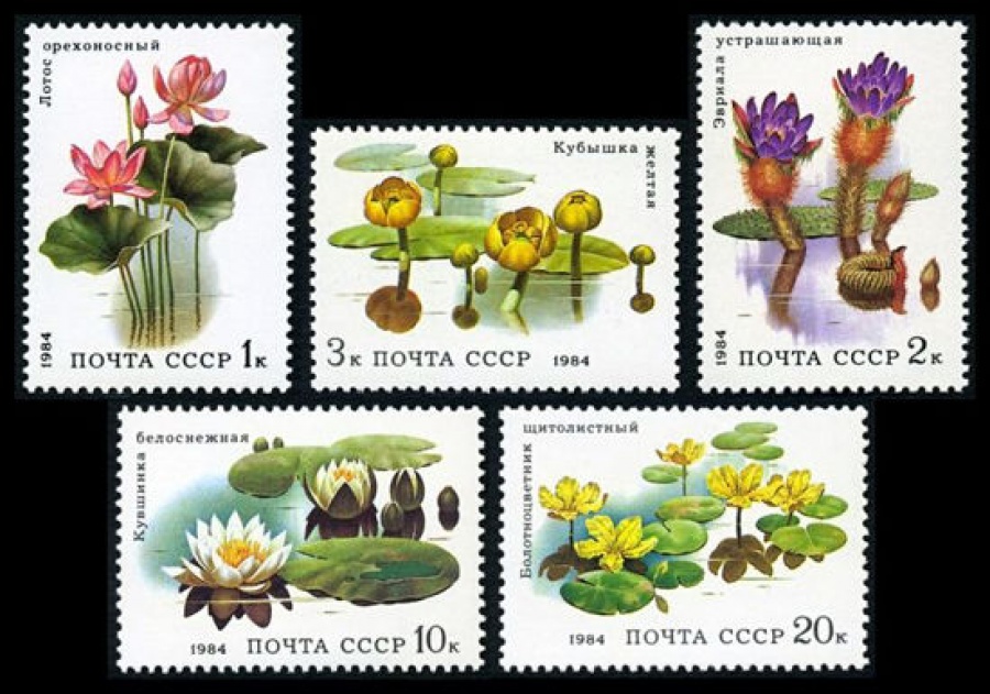 Почтовая марка СССР 1984г Загорский № 5433-5437