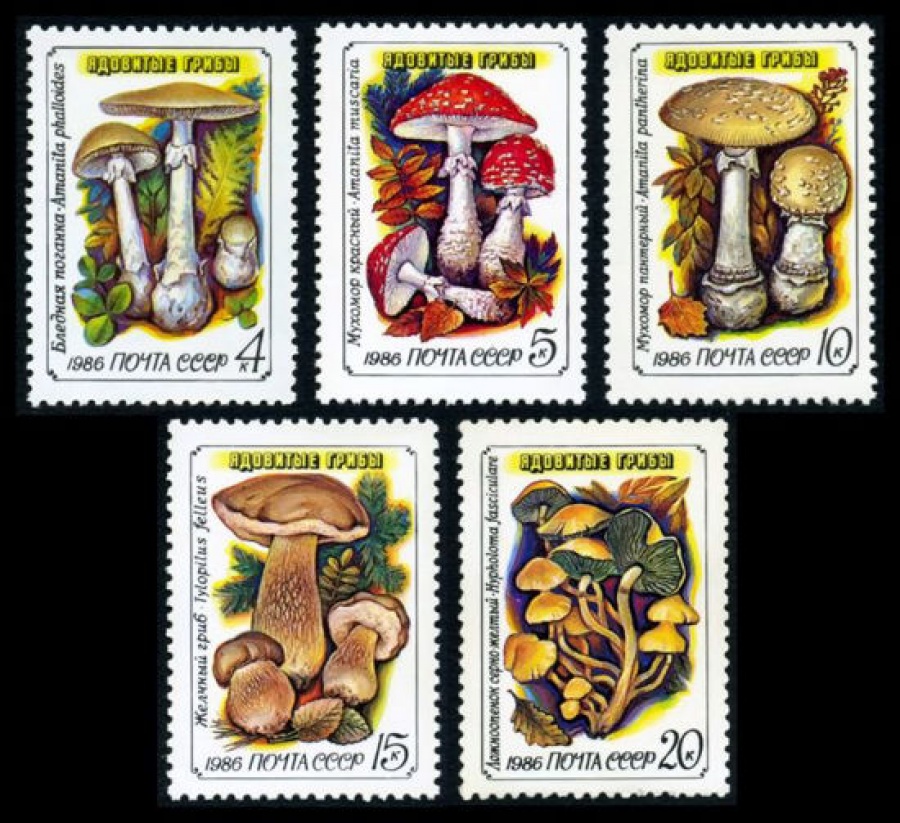 Почтовая марка СССР 1986г Загорский № 5655-5659