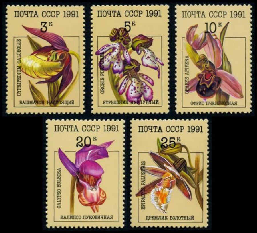 Почтовая марка СССР 1991г Загорский № 6248-6252