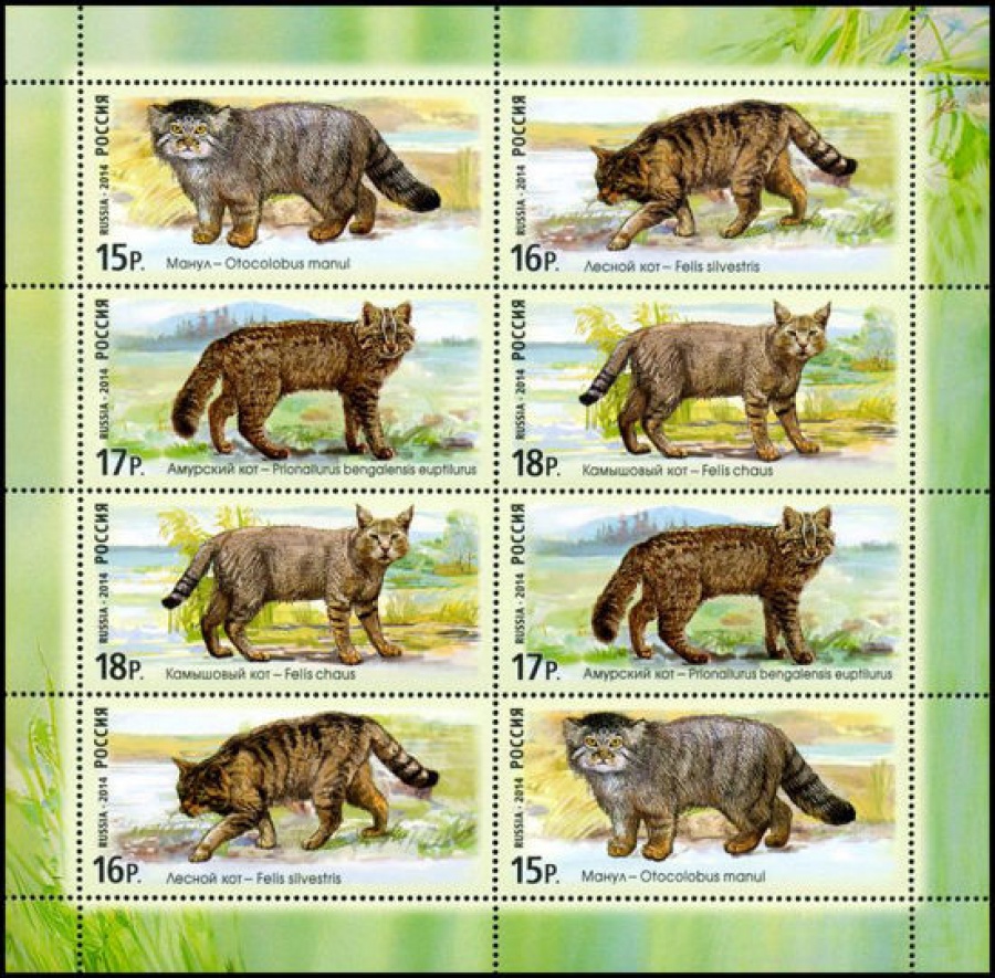 Лист почтовых марок - Россия 2014 № 1846-1849 Фауна России. Дикие кошки МЛ