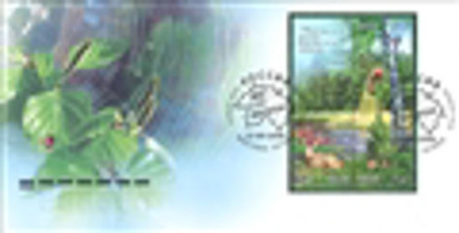 Конверт первого дня - Россия 2008 № 1552 Флора и Фауна. Лес и его обитатели