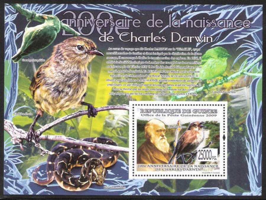 Почтовая марка НК. Гвинея. Михель № 6593 ПБ № 1688