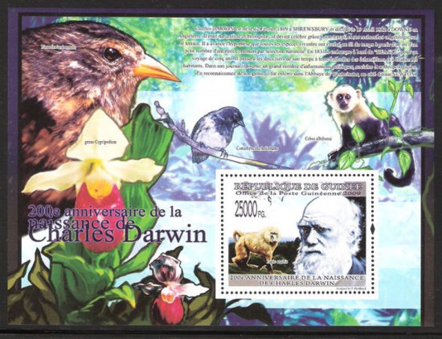 Почтовая марка НК. Гвинея. Михель № 6594 ПБ № 1689
