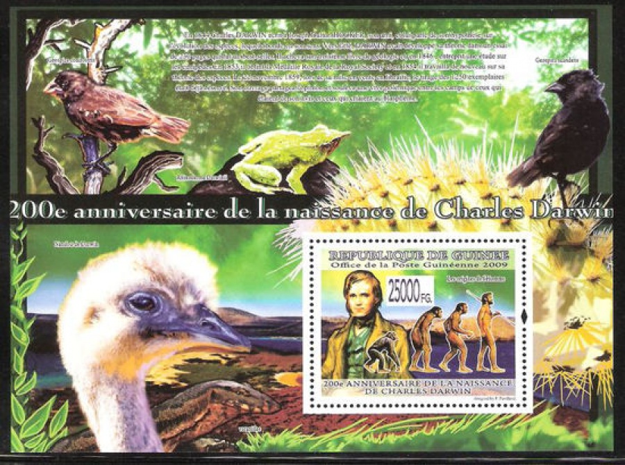 Почтовая марка НК. Гвинея. Михель № 6595 ПБ № 1690