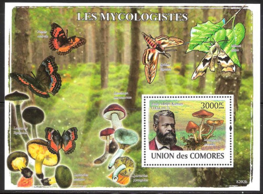 Почтовая марка НК. Коморские острова. Михель № 2057 - ПБ № 465 с перфорацией