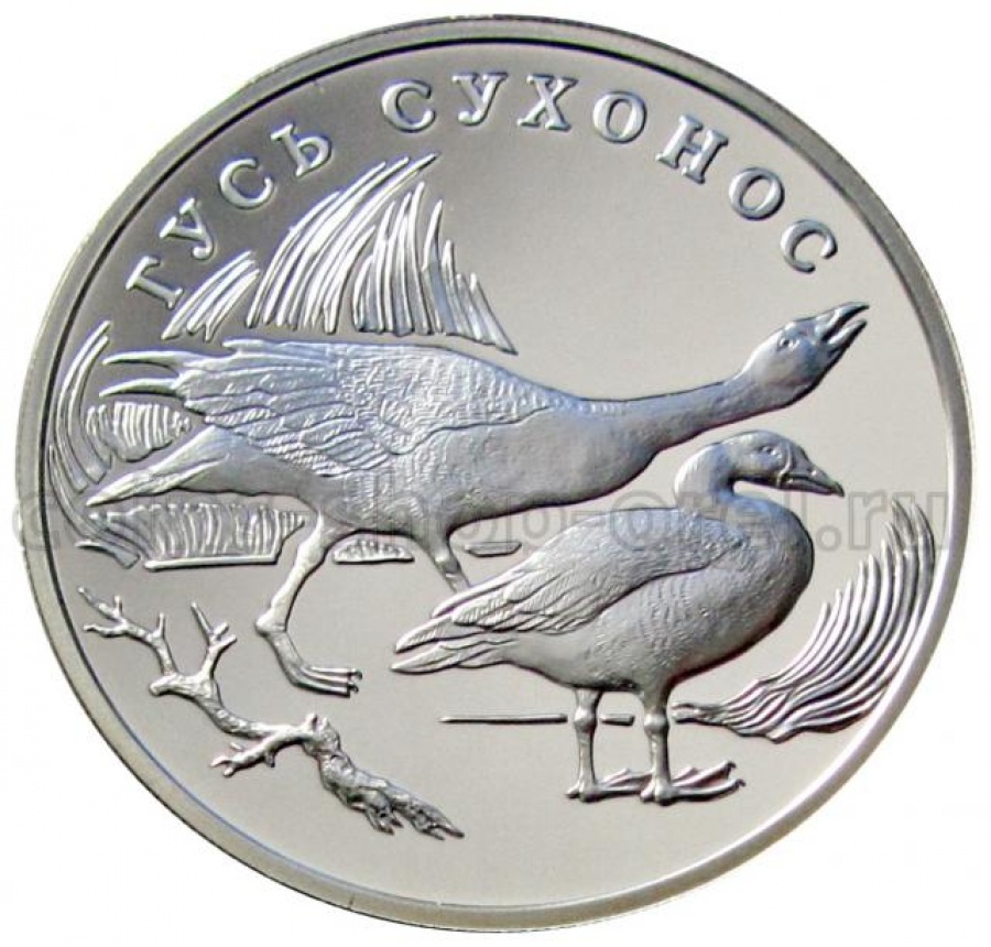Монеты России- Гусь Сухонос - 1 рубль (2006г)