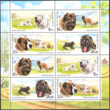 Лист почтовых марок - Россия 2015 № 1954-1957 Серия «Фауна России. Служебные породы собак»