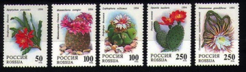 Почтовая марка Россия 1994 № 144-148. Комнатные растения. Кактусы. Продолжение серии.
