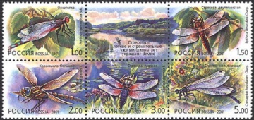 Почтовая марка Россия 2001 № 671-675. Стрекозы. (Сцепка)
