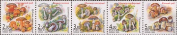 Почтовая марка Россия 2003 № 876-880. Грибы-двойники (Сцепка)