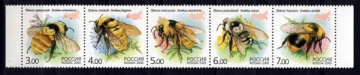 Почтовая марка Россия 2005 № 1034-1038. Фауна. Насекомые. (Сцепка)