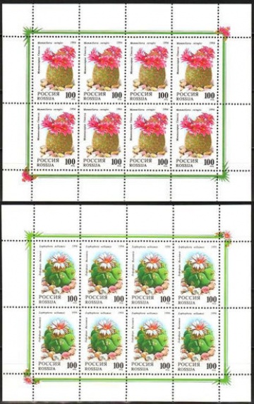 Малый лист почтовых марок - Россия 1994 № 145-146. Комнатные растения. Кактусы. Продолжение серии