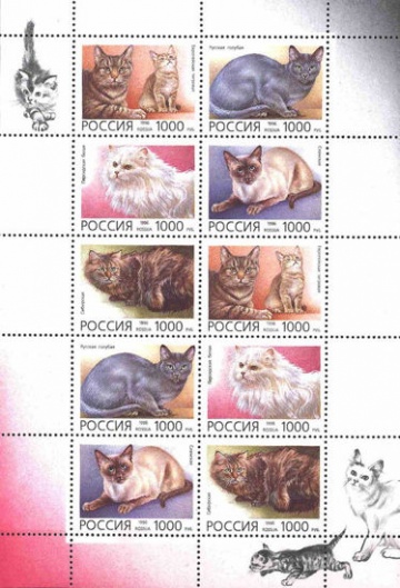 Малый лист почтовых марок - Россия 1996 № 266-270. Домашние кошки