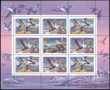 Малый лист почтовых марок - Россия 1993 № 101-103. Утки. Продолжение серии