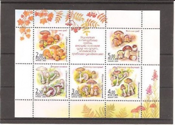 Малый лист почтовых марок - Россия 2003 № 876-880 Грибы-двойники.