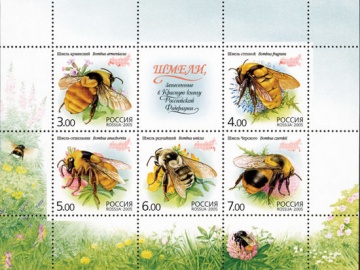 Малый лист почтовых марок - Россия 2005 № 1034-1038. Фауна. Насекомые