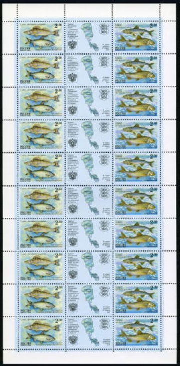 Лист почтовых марок - Россия 2000 № 629 - 630. Рыбы Чудско-Псковского озера