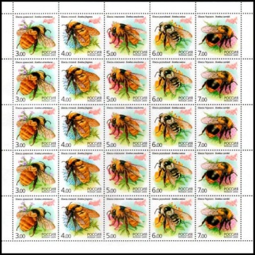 Лист почтовых марок - Россия 2005 № 1034 - 1038. Фауна. Шмели