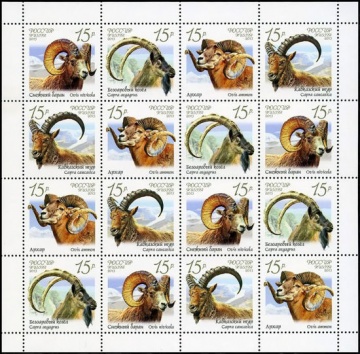 Лист почтовых марок - Россия 2013 № 1667-1670 Фауна России. Дикие козлы и бараны