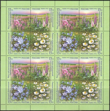 Лист почтовых марок - Россия 2014 № 1810-1813 Флора России. Полевые цветы