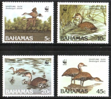 Почтовая марка Фауна. Багамские Острова. Михель № 672-675