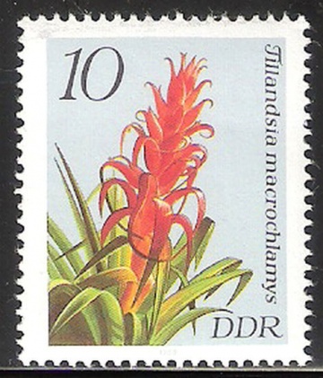 Почтовая марка Флора. Германия. Михель № 3149